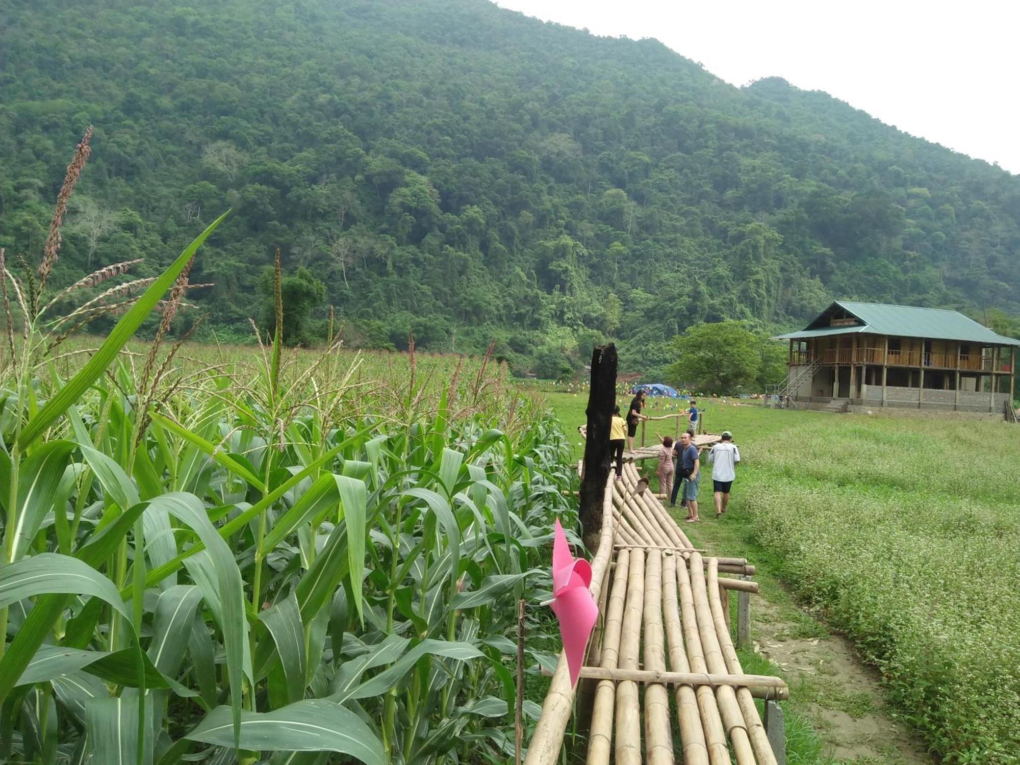 Tran Xuan Homestay Ba Be Exterior foto